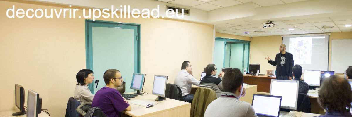 decouvrir.upskillead.eu